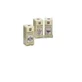 Nepeta cataria alkoholfreier Extrakt 50 ml