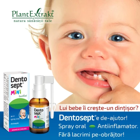 Dentosept Mini gingival spray, 30 ml, Plant Extrakt