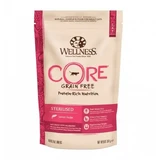 Wellness Core Core Dry Sterilized Dry Food with Salmon, 300 g