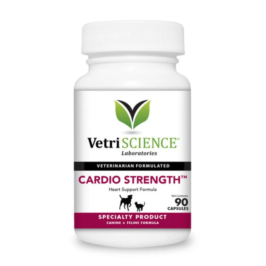 VETRISCIENCE Omega Healthy Heart, XS-XL, supplement voor hart en bloedvaten bij honden, fles, 30 capsules