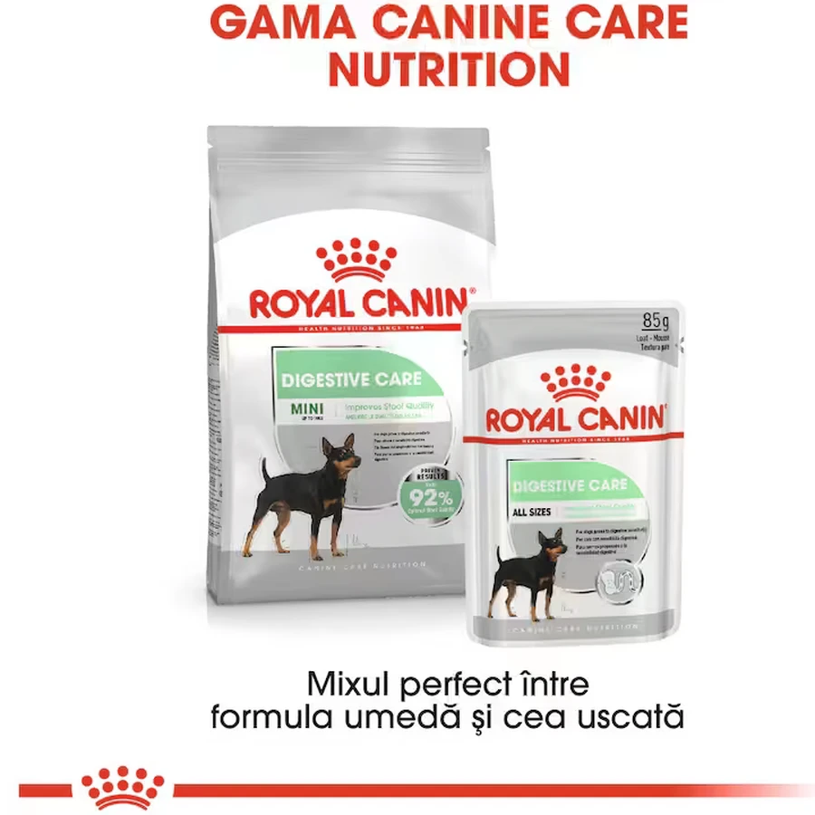 ROYAL CANIN Mini Digestive Care, droog hondenvoer, spijsverteringscomfort, 3kg