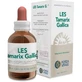 Forza Vitale Les Tamarix Gallica Tamaris 50Ml