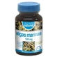 Dietmed Zeealgen 500Mg. 90Comp