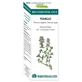 Equisalud Bio Essential Oils Olejek eteryczny tymiankowy 10ml