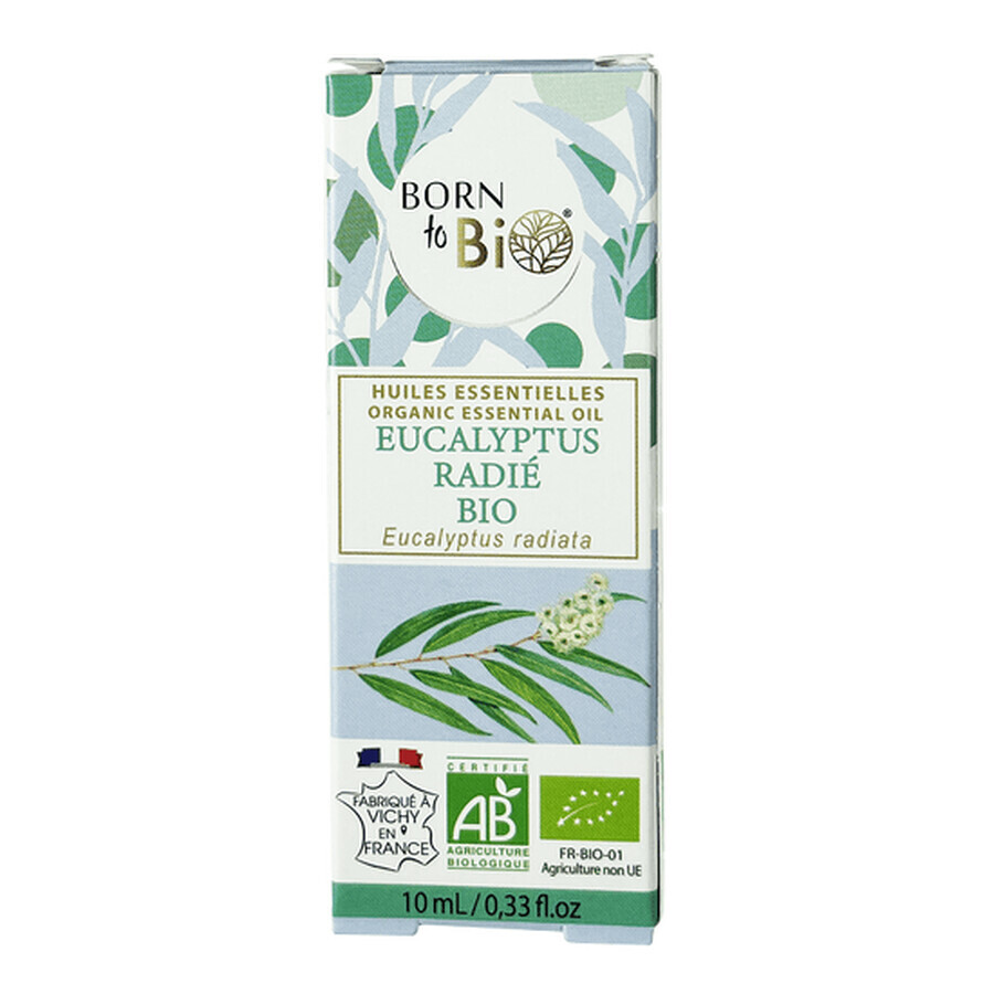 Huile essentielle d'Eucalyptus Radiata Bio, 10 ml, Born to Bio