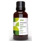 Terpenic Scots Pine Essential Oil Bio 30 ml