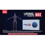 Urimil Forte Max, 30 gélules, Plantapol