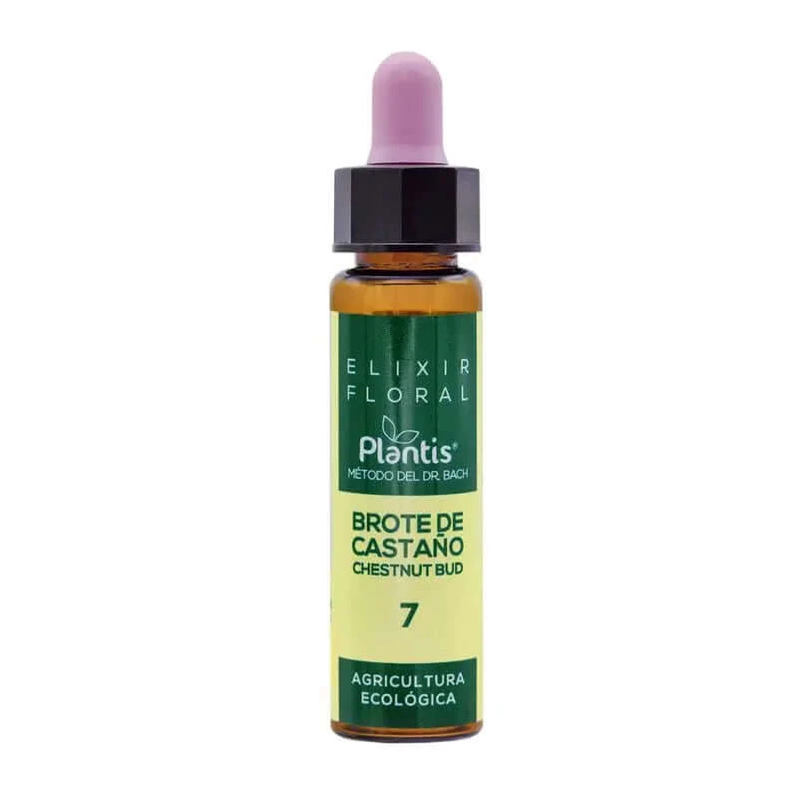 Artesania Chestnut Bud Plantis Bach Flowers No. 07 10Ml