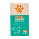 Drasanvi Drgreen Vitalgreen Oral Solution , 120 ml