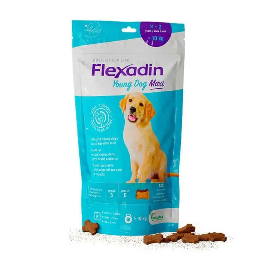 Flexadin Puppy Maxi 60 kapsułek: ceny i cechy