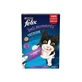 Felix Deli Monents Eend 11(4X10G)