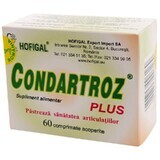 Condartroz Plus, 60 tabletten, Hofigal