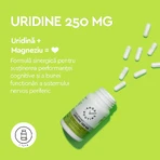 Uridine Good Routine, 250 mg, 30 capsules, Secom