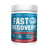 Fast Recovery Berry Flavoured Protein Drink, 600g, Gold Nutrition