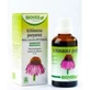 Biover Estratto di Echinacea Purpurea 50ml