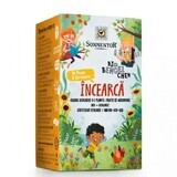 Té ecológico de frutas, hierbas y especias ¡Pruébalo!, 20 bolsitas, Sonnentor