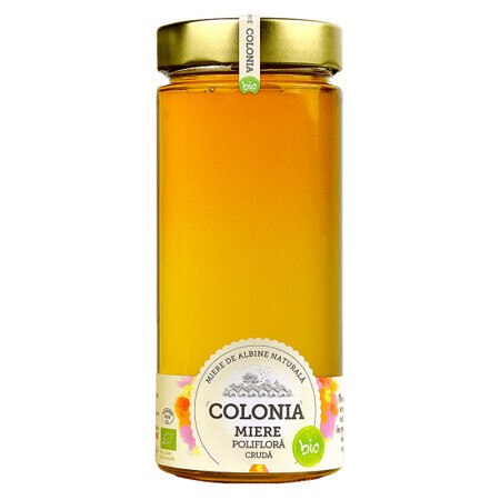 Miel polifloral bio cruda, 800 g, Colonia