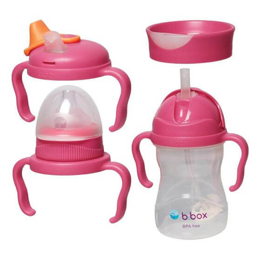 Set met 4 deksels, +4 maanden, 240 ml, Roze, BBOX