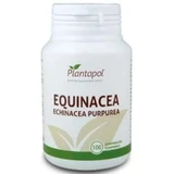Plantapol Echinacea 400Mg. 100 tabletten