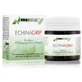 Ergonat Echinagrip Echinacea Ergosfeer 45 Capsules