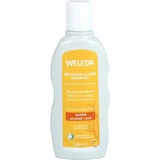 WELEDA Herstellende & Verzorgende Haver Shampoo 190 ml