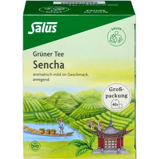 GREEN TEA Organic Salus filter bags bulk pack 40 pcs.