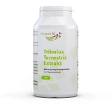 TRIBULUS TERRESTRIS EXTRACT 500 mg capsules 100 st.