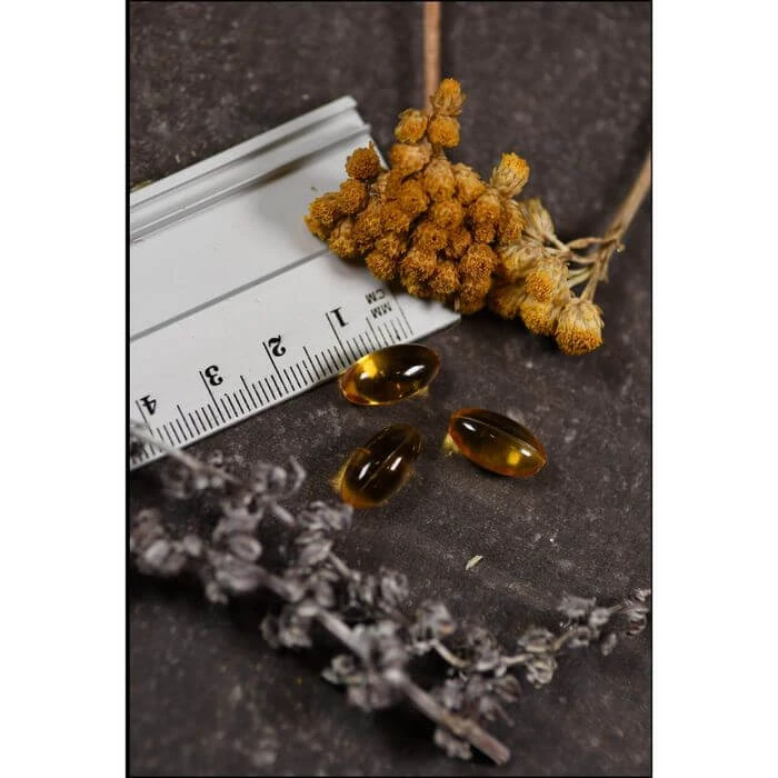 OREGANO OLIE Solaray Capsules 60 Capsules