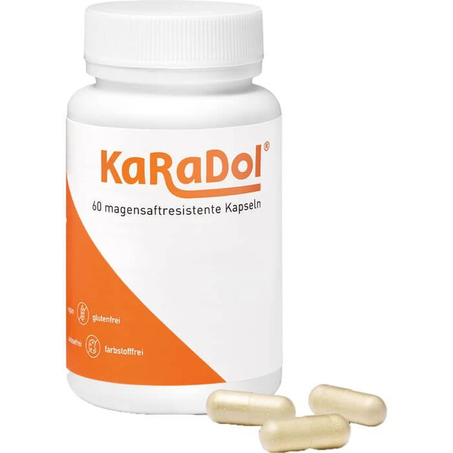 KARADOL cápsulas con cubierta entérica 60 unid.