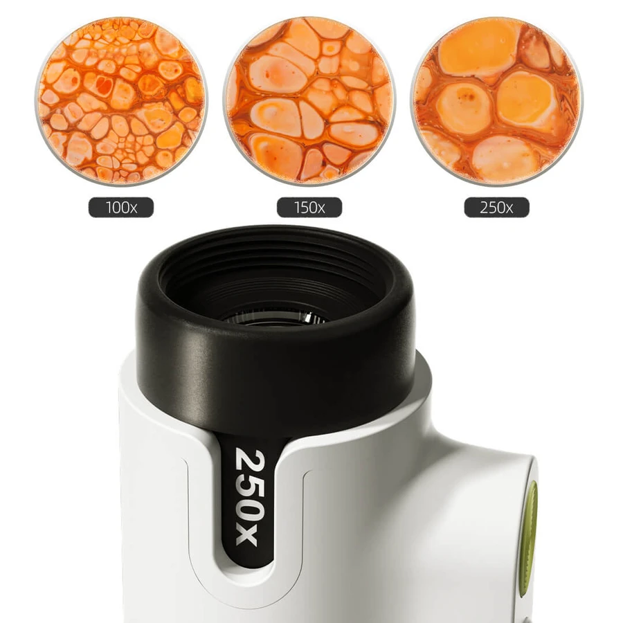 STEM Microscopio 250 juego, TopBright