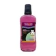 Enjuague bucal Foramen Overnight 500 ml - 200310
