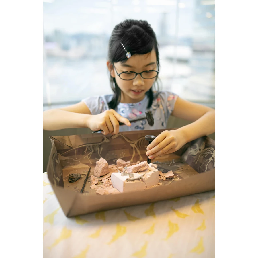 Set educativo Dig and Discover Dinosaurs - Stegosaurus