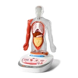 STEM-spel Menselijke anatomie, TopBright
