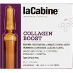 Collageen Boost huidampul 10 x 2 ml, La Cabine