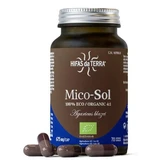 Mushroom extract Agaricus Blazei Mico Sol, 70 capsules, Hifas da Terra