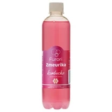Kombucha mit Himbeergeschmack Zmeurika, 500 ml, Furori