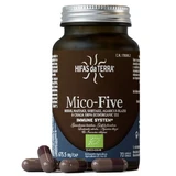 Extract van reishi, maitake, shiitake, agaricus en chaga paddenstoelen Mico Five, 70 capsules, Hifas da Terra