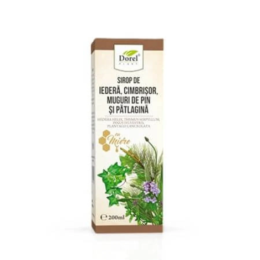 Sirup aus Efeu, Thymian, Kiefernknospen und Patlagina, 200 ml, Dorel Plant