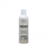 Groene thee shampoo voor roos haar (1,5) x 250ml, Noah