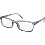 EYELEAD E181 Presbyopie Bril Transparant-Grijs Granulair 1,00