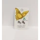 INOPLUS Cercei hipoalergenici fără nichel Argint Unicorn 0731