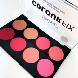 TECHNIC Colour Fix Blush Palette 8 tinten 28gr