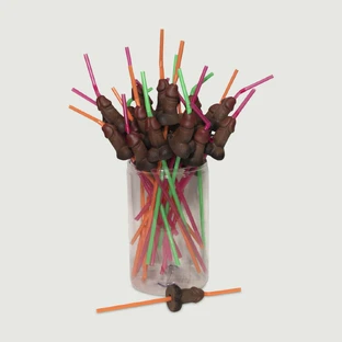Dick Straw - Braun