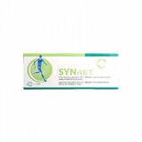 Synart, 60mg/4ml hyaluronic acid injectable solution for infiltration, 1 pre-filled syringe, Pharma Labs