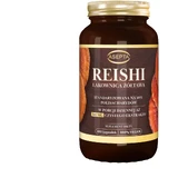 Asepta Reishi Lakblad 540 mg 100 capsules
