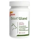 Dolvit Drüse, 60 Tabletten