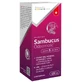 Biocanto Sambucus Immunitätssirup 120 ml