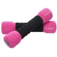 Abisal HMS Zacht Roze Gewichten 2 x 1 kg CM06