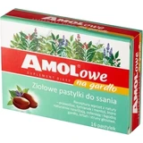 Amolowe Na Throat Kräuterlutschtabletten 16 Lutschtabletten