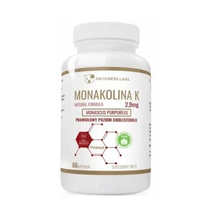 PROGRESS LABS Monacolin K vs 2 60 Kapseln